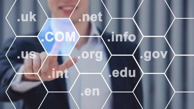 Domain Name Registration